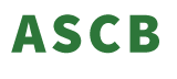 ADVANCE SF logo